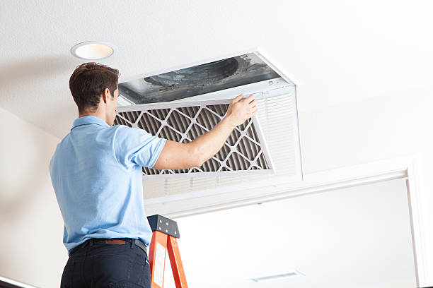Best HVAC Cleaning Services  in Yalaha, FL